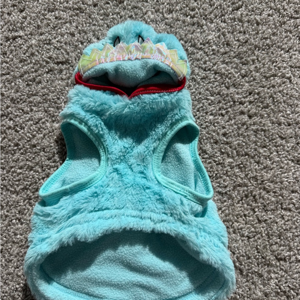 Turquoise Dinosaur Pet Costume